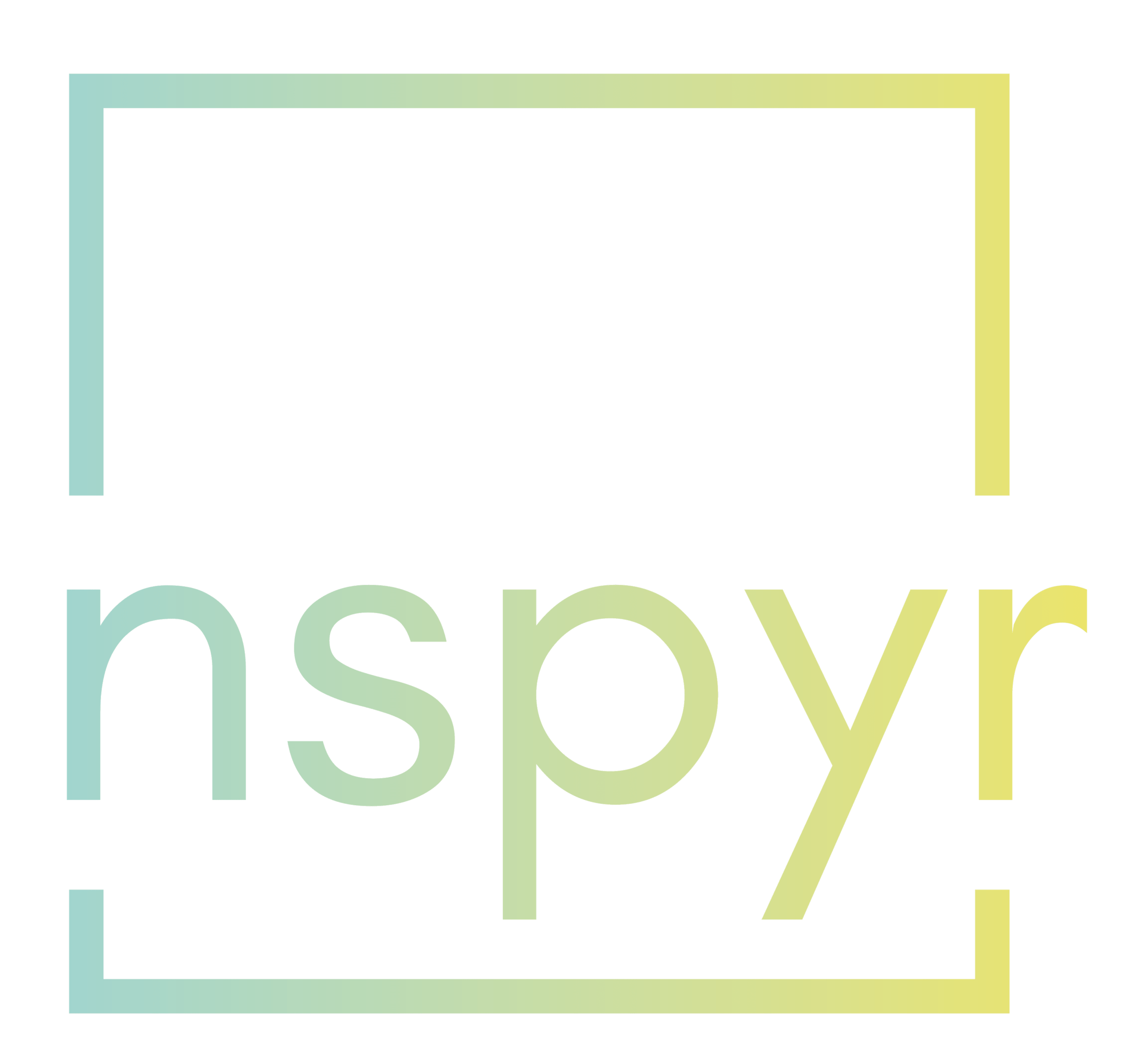 nspyr logo colored