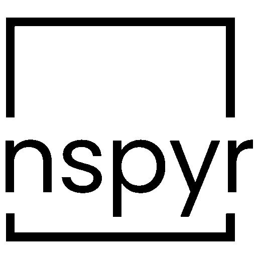 nspyr favicon