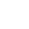 nspyr logo white